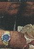 Piaget 1980 5.jpg